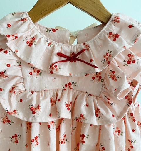 Emma Dress - red pink dainty daisies (12m)
