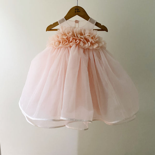 Amina Ball Dress (2yo) blush