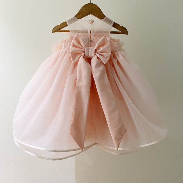 Amina Ball Dress (2yo) blush